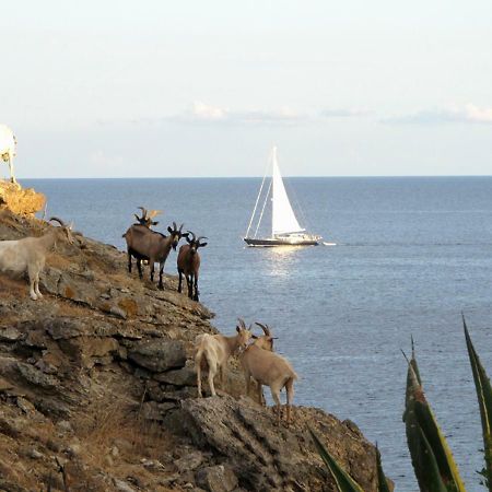 Isola D'Elba Come In Barca, A Un Tuffo Dal Mare Capoliveri Kültér fotó